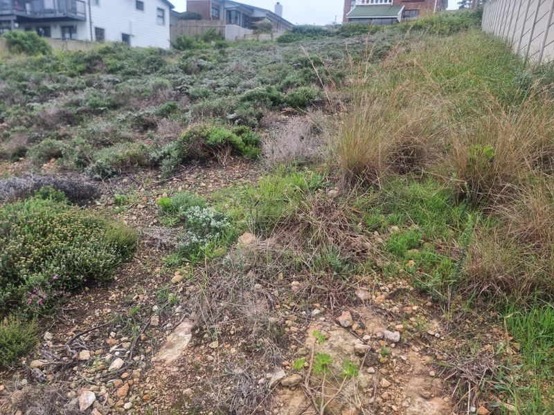 Prime Elevated Erf For Sale- Dana Bay, Mossel Bay - Photo 4