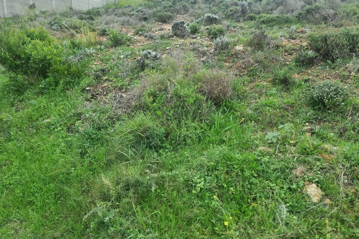 Prime Elevated Erf For Sale- Dana Bay, Mossel Bay - Photo 5