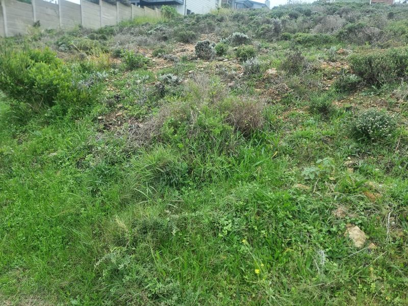 Prime Elevated Erf For Sale- Dana Bay, Mossel Bay - Photo 5
