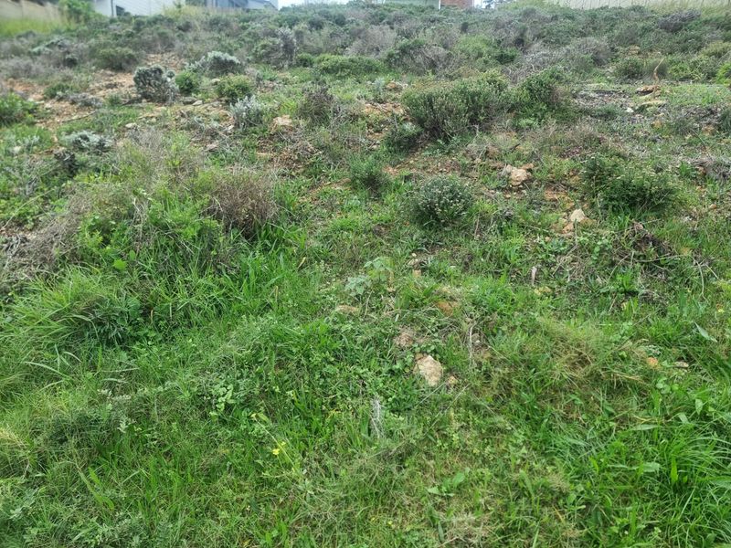 Prime Elevated Erf For Sale- Dana Bay, Mossel Bay - Photo 6