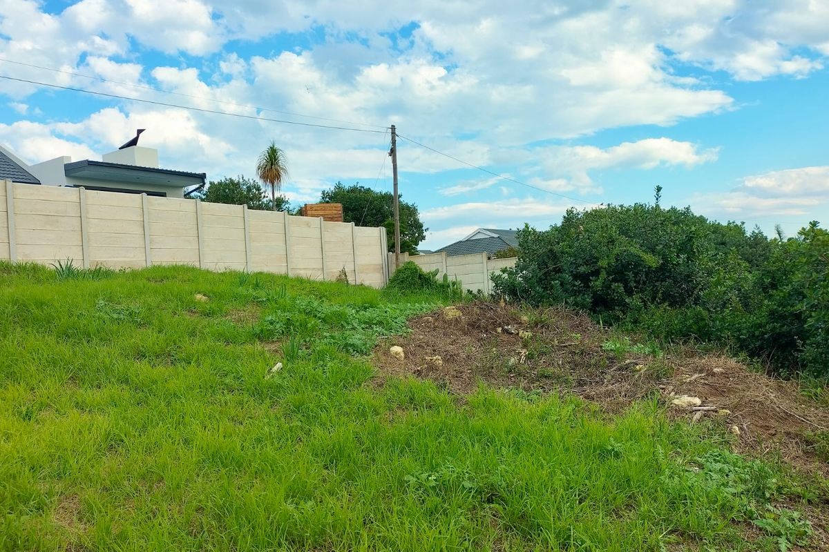 VACANT LAND IN FRAAIUITSIG KLEIN BRAK RIVER - Photo 4