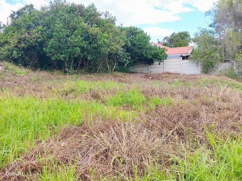 VACANT LAND IN FRAAIUITSIG KLEIN BRAK RIVER - Photo 8