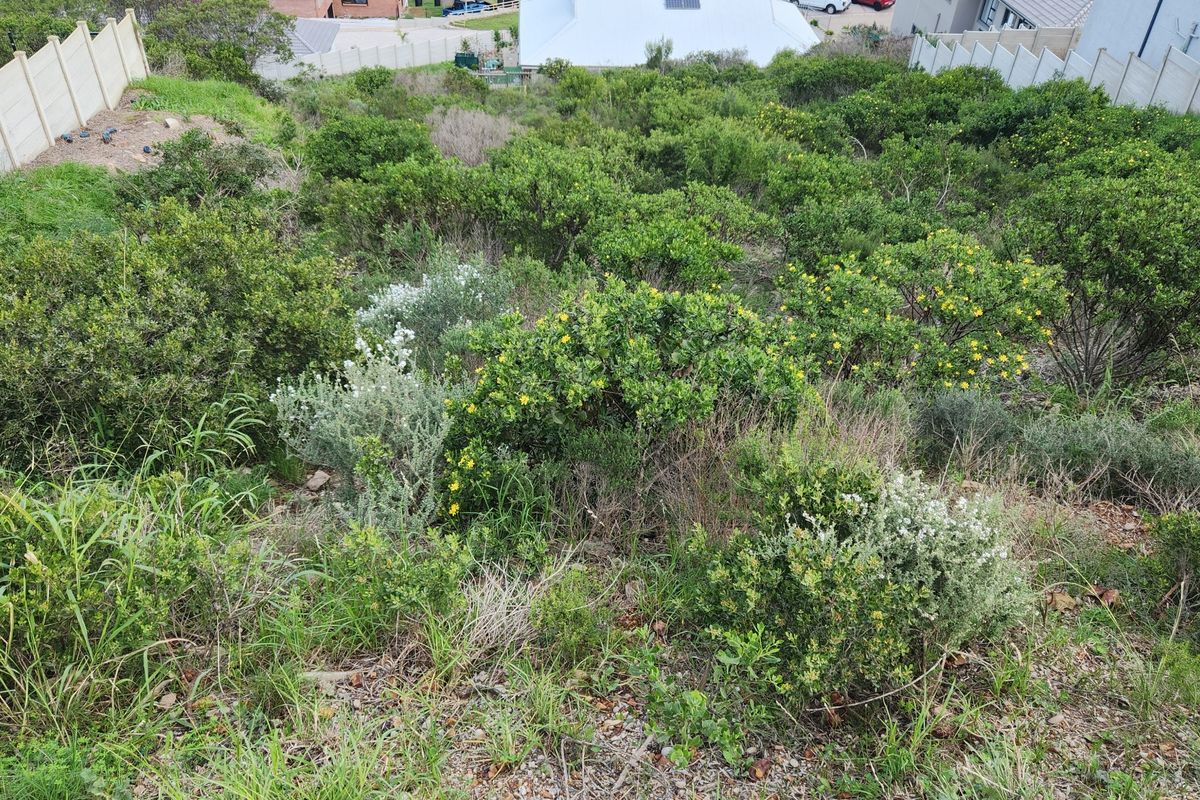 Elevated Stand with Panoramic Valley Views in Sought-After Island View - Photo 2