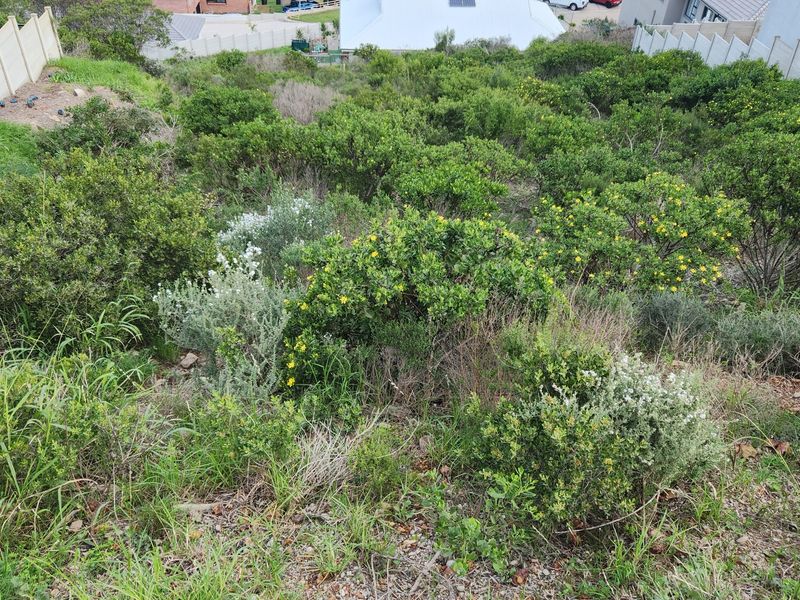 Elevated Stand with Panoramic Valley Views in Sought-After Island View - Photo 2