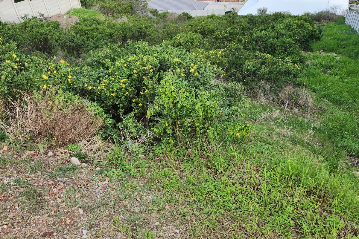 Elevated Stand with Panoramic Valley Views in Sought-After Island View - Photo 4