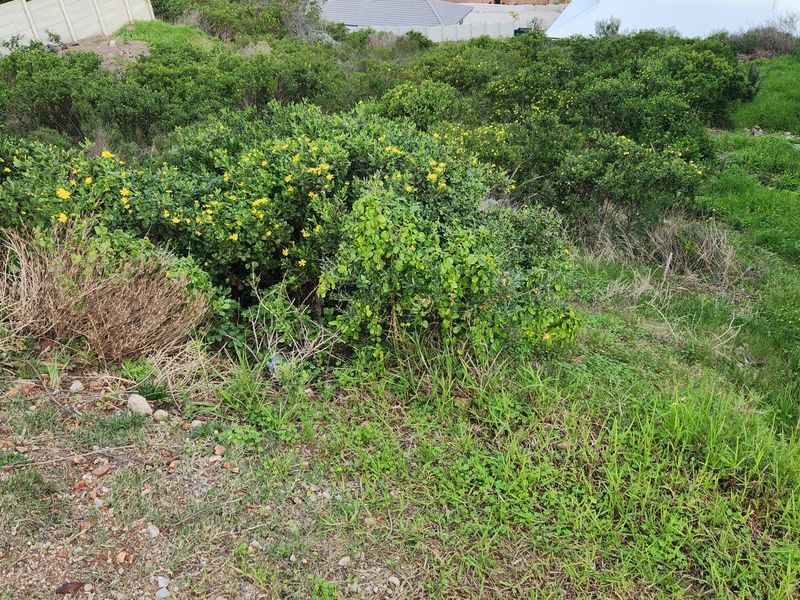 Elevated Stand with Panoramic Valley Views in Sought-After Island View - Photo 4