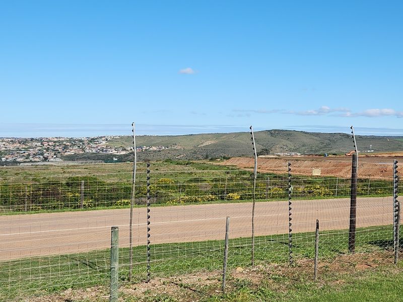 Build Your Dream Home on One of Monte Christo's Last Remaining Level View Stands - Photo 7