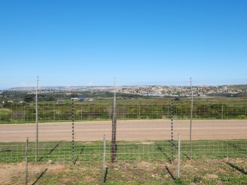 Build Your Dream Home on One of Monte Christo's Last Remaining Level View Stands - Photo 8