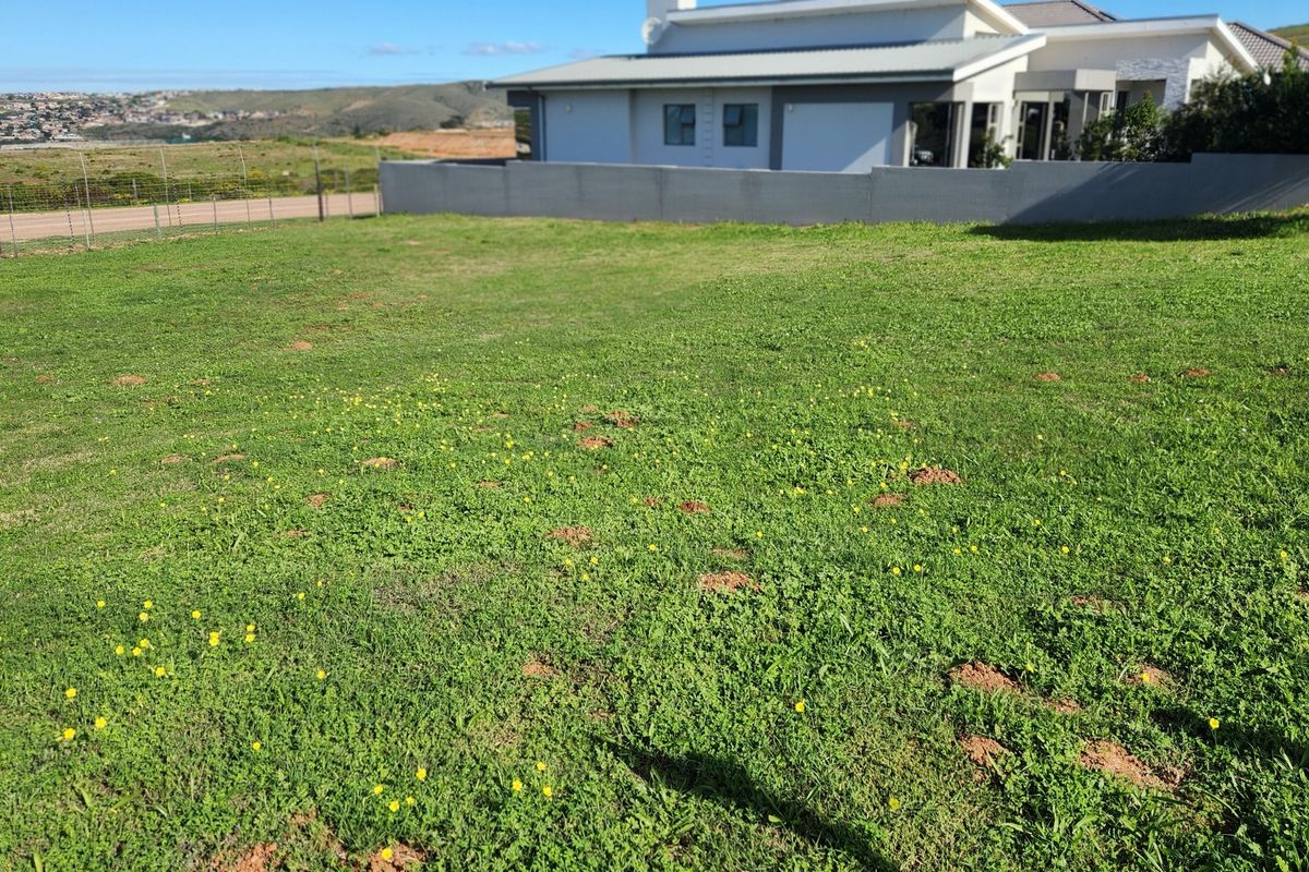 Build Your Dream Home on One of Monte Christo's Last Remaining Level View Stands - Photo 2