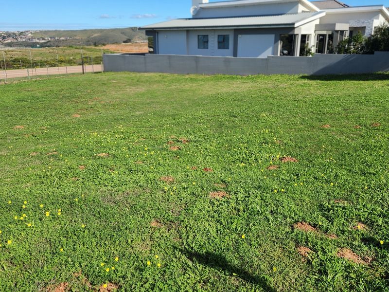 Build Your Dream Home on One of Monte Christo's Last Remaining Level View Stands - Photo 2