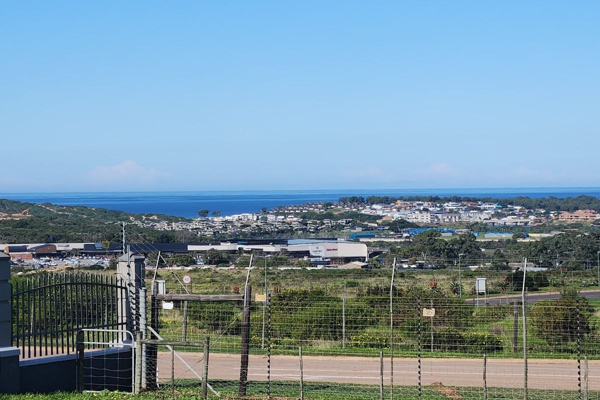 Build Your Dream Home on One of Monte Christo's Last Remaining Level View Stands - Photo 4