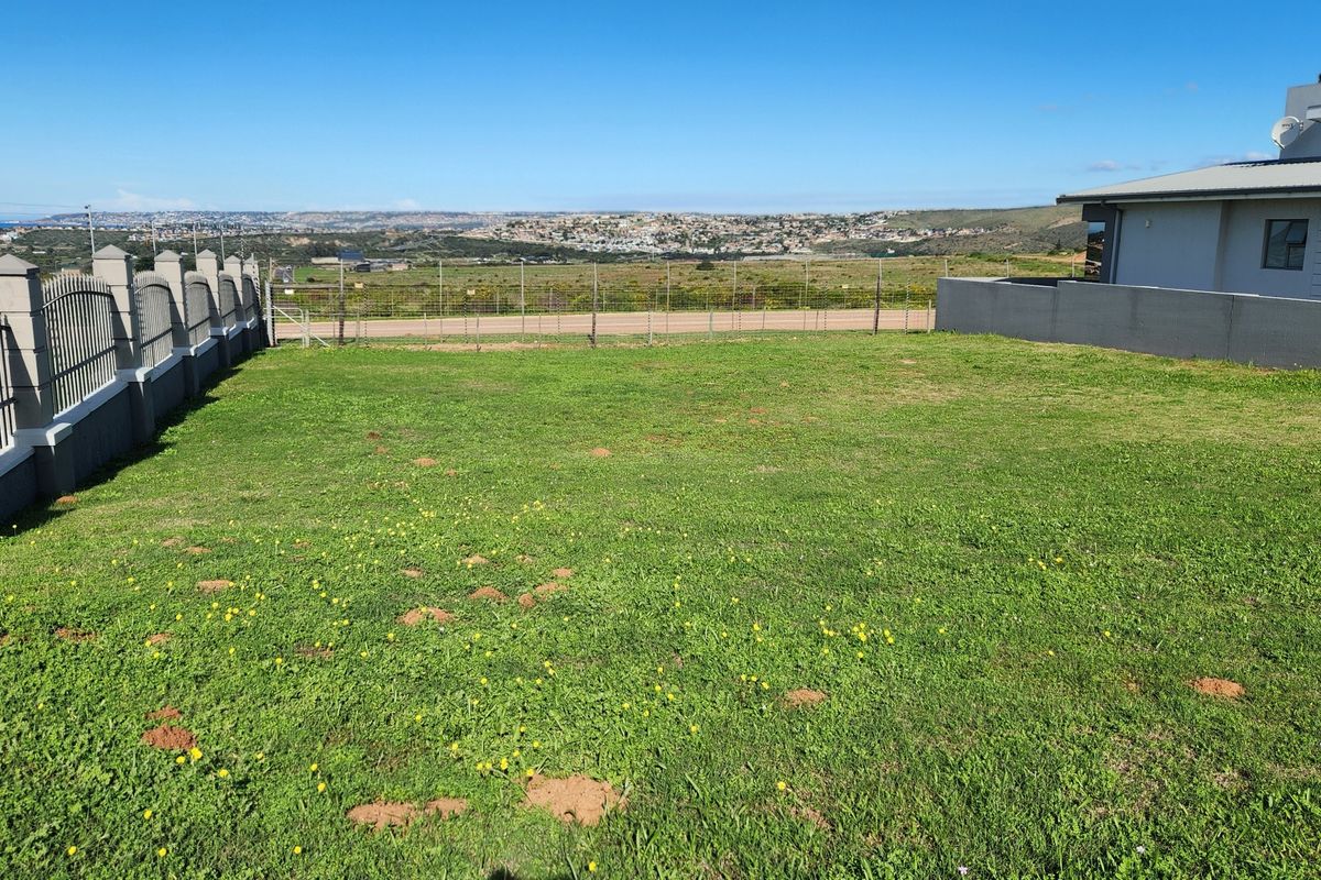 Build Your Dream Home on One of Monte Christo's Last Remaining Level View Stands - Photo 3