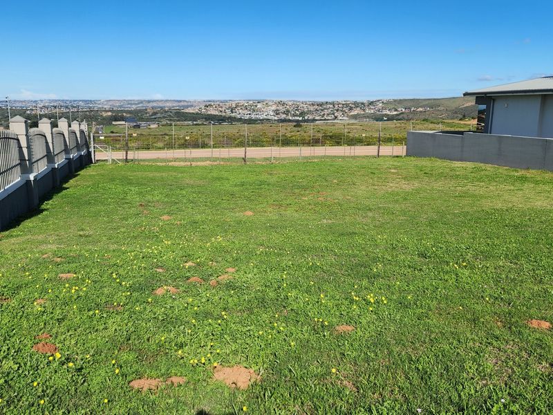 Build Your Dream Home on One of Monte Christo's Last Remaining Level View Stands - Photo 3
