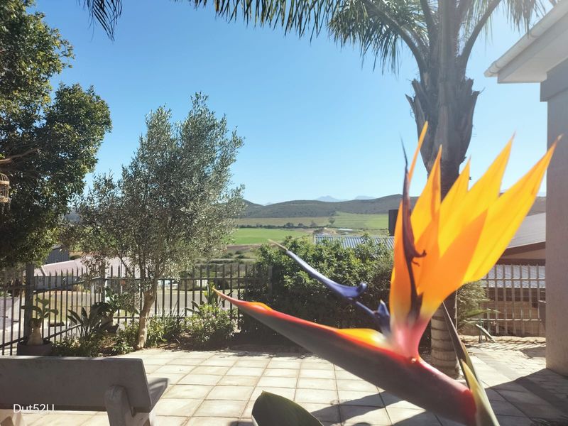 MODERN FAMILYLIVING IN BEAUTIFUL REEBOK - Photo 2