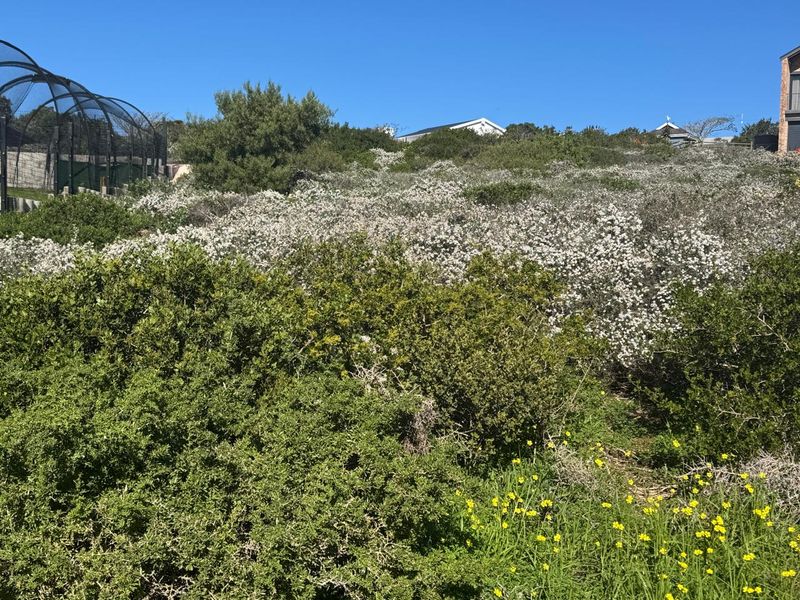A prime 590m2 erf boasting spectacular sea views in picturesque Vleesbaai! - Photo 5