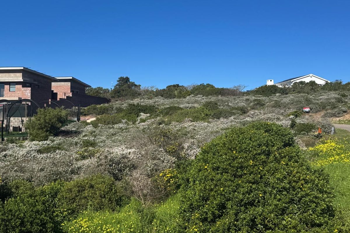 A prime 590m2 erf boasting spectacular sea views in picturesque Vleesbaai! - Photo 2