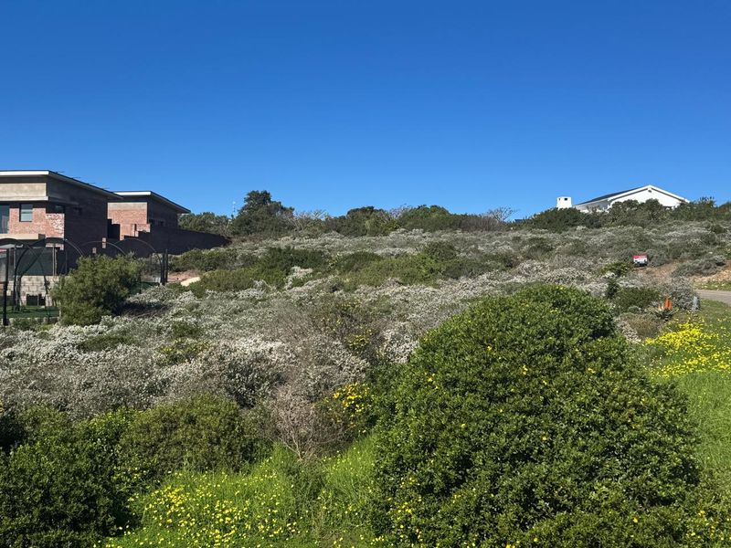 A prime 590m2 erf boasting spectacular sea views in picturesque Vleesbaai! - Photo 2