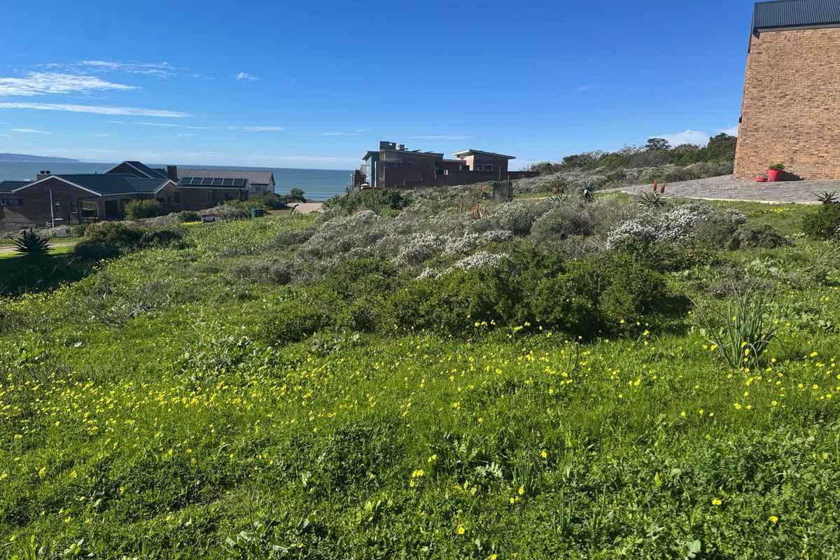A prime 652m2 erf boasting spectacular sea views in picturesque Vleesbaai! - Photo 3