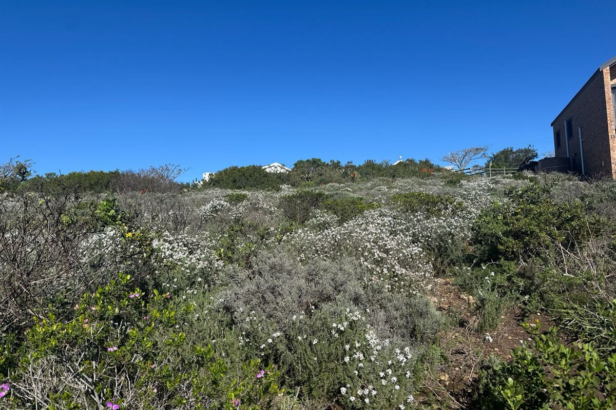 A prime 559m2 erf boasting unique spectacular sea views in picturesque Vleesbaai! - Photo 5