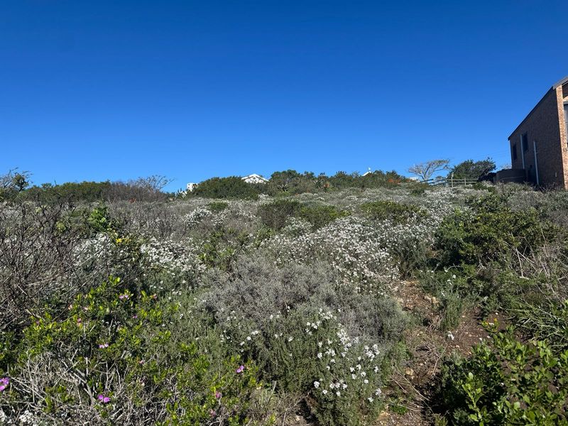 A prime 559m2 erf boasting unique spectacular sea views in picturesque Vleesbaai! - Photo 5
