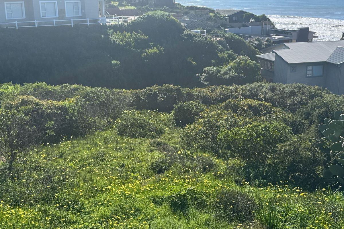 A prime 559m2 erf boasting unique spectacular sea views in picturesque Vleesbaai! - Photo 4