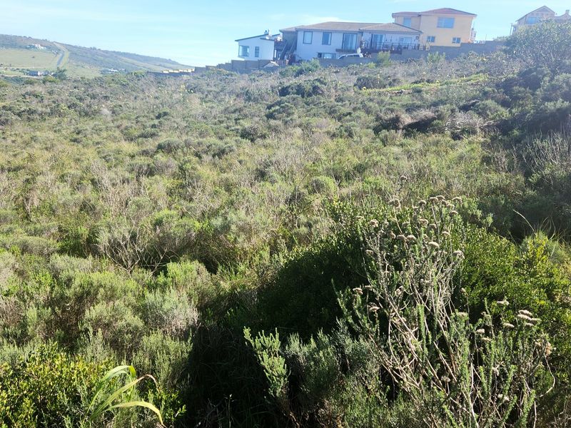 Prime Vacant Land in Seemeeu Park - Photo 7