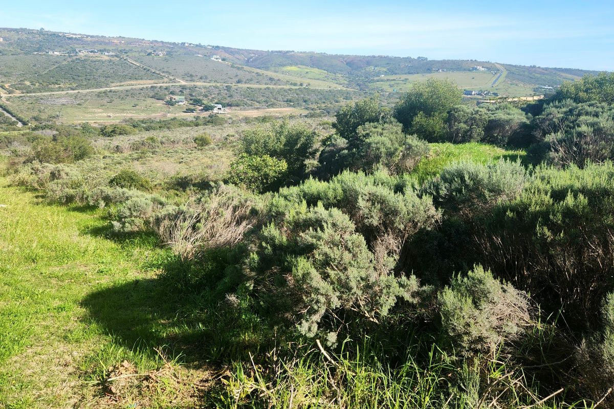 Prime Vacant Land in Seemeeu Park - Photo 3