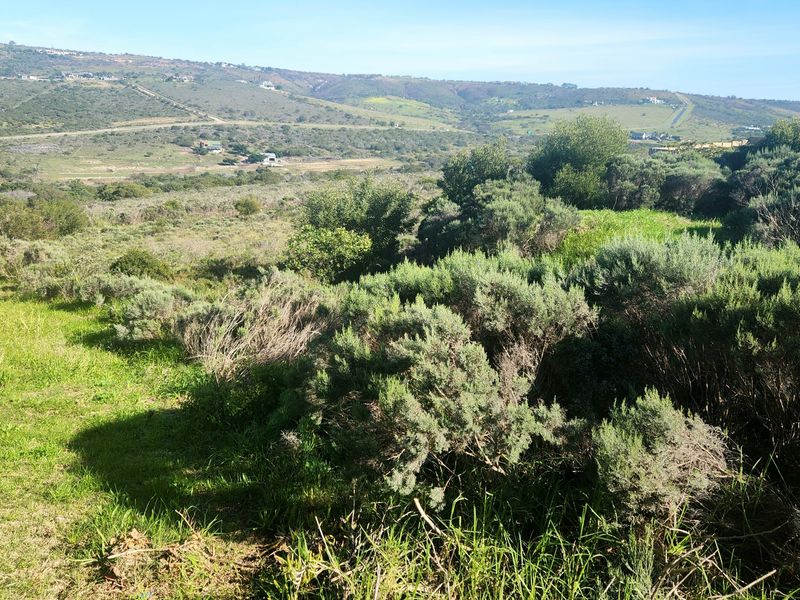 Prime Vacant Land in Seemeeu Park - Photo 3