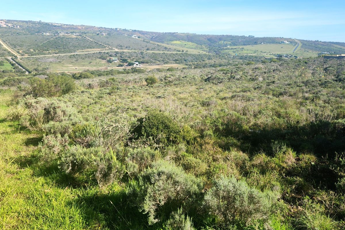 Prime Vacant Land in Seemeeu Park - Photo 4