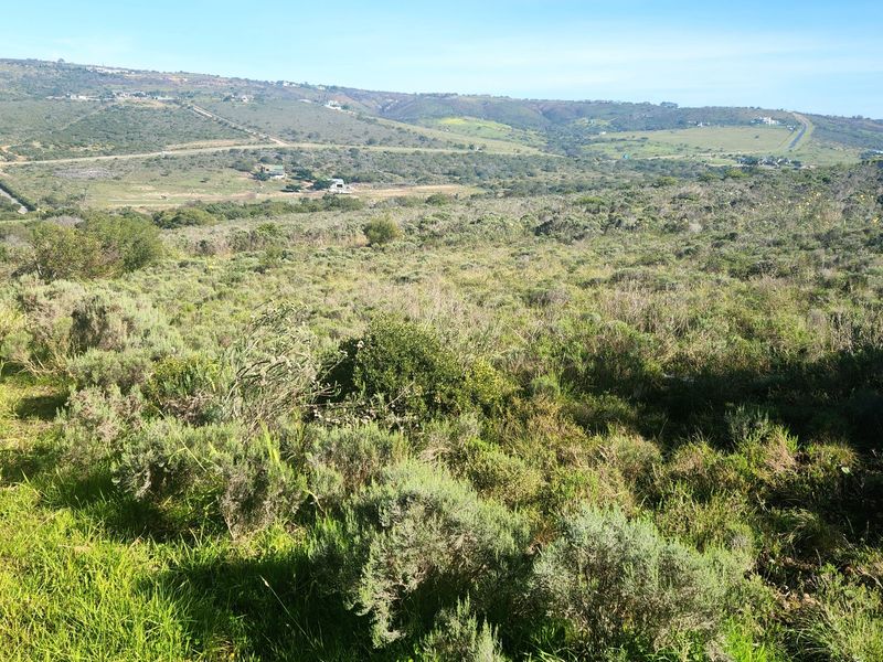 Prime Vacant Land in Seemeeu Park - Photo 4