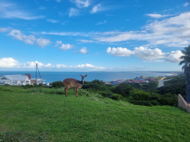 Vacant Land for Sale – Danabay (990m2) - Photo 1