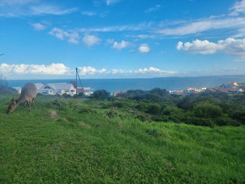 Vacant Land for Sale – Danabay (990m2) - Photo 10