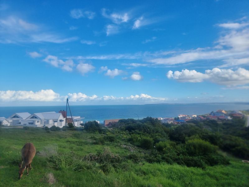 Vacant Land for Sale – Danabay (990m2) - Photo 8