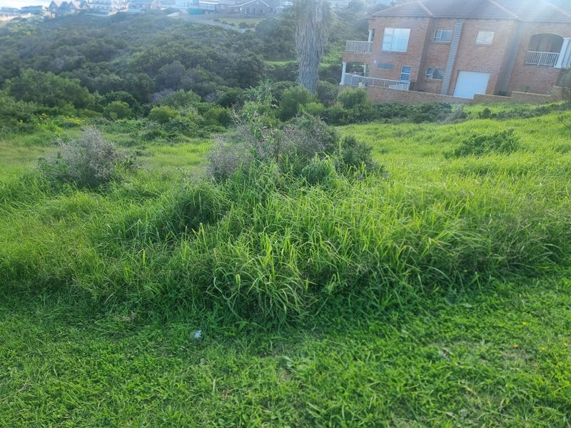Vacant Land for Sale – Danabay (990m2) - Photo 7