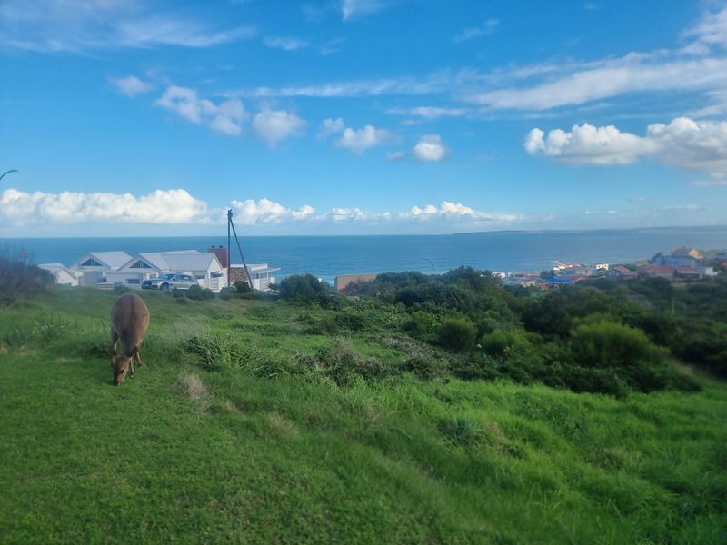 Vacant Land for Sale – Danabay (990m2) - Photo 6