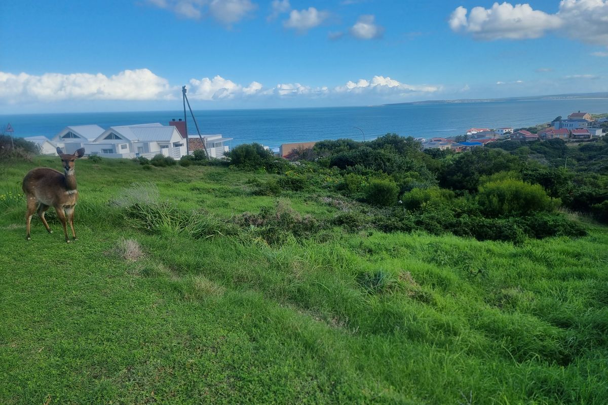 Vacant Land for Sale – Danabay (990m2) - Photo 2
