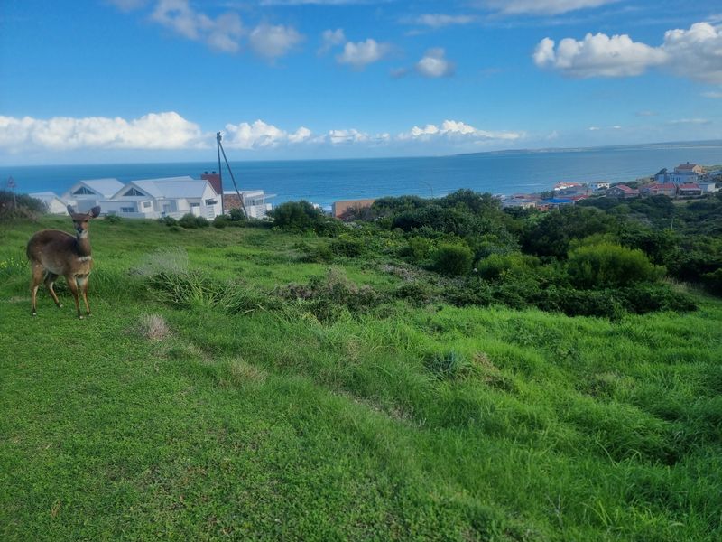 Vacant Land for Sale – Danabay (990m2) - Photo 2