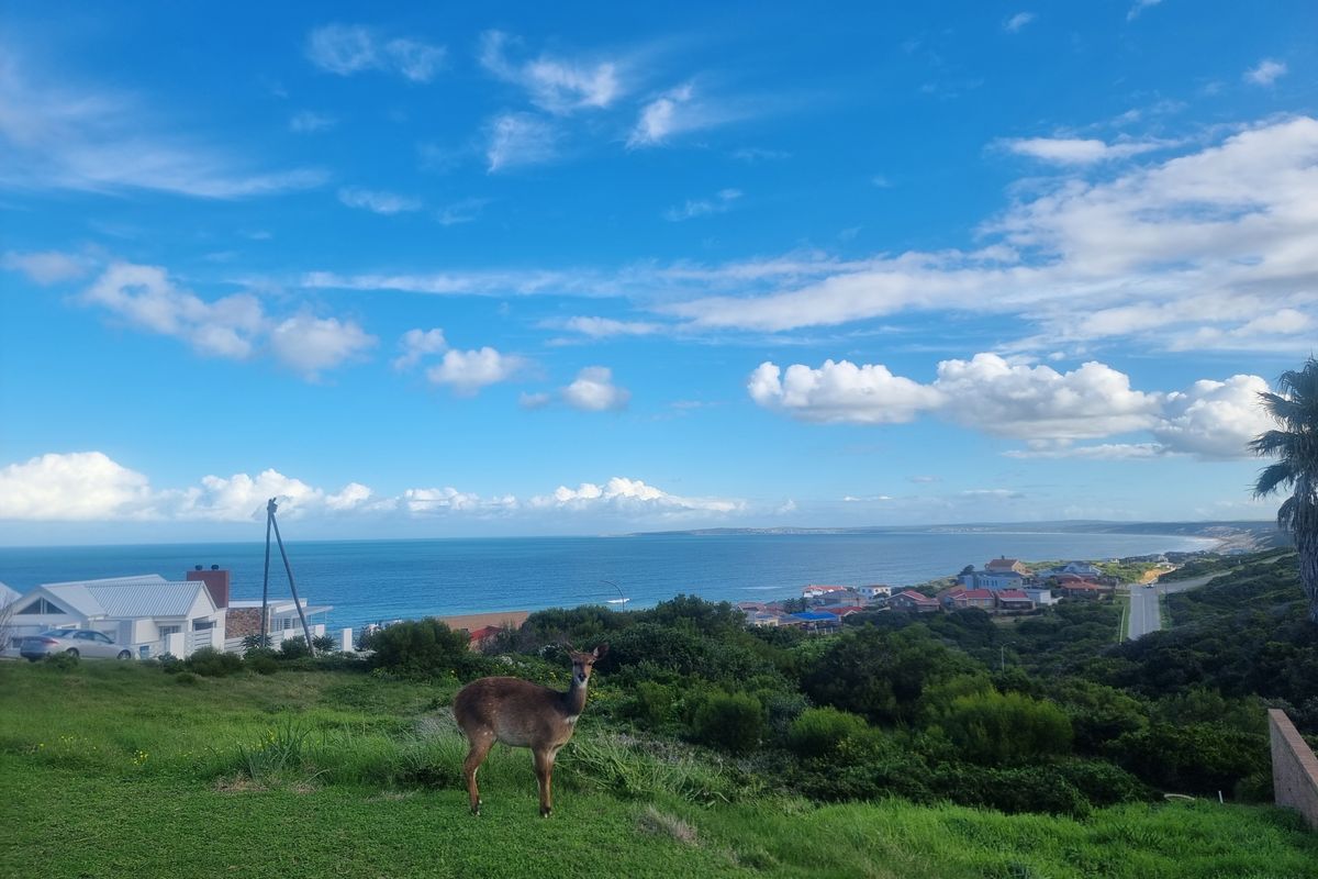Vacant Land for Sale – Danabay (990m2) - Photo 4