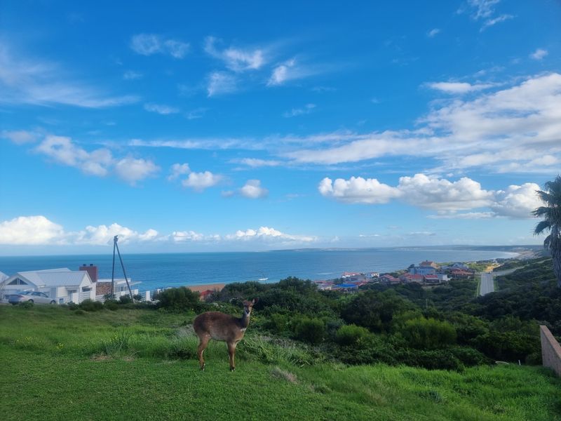Vacant Land for Sale – Danabay (990m2) - Photo 4