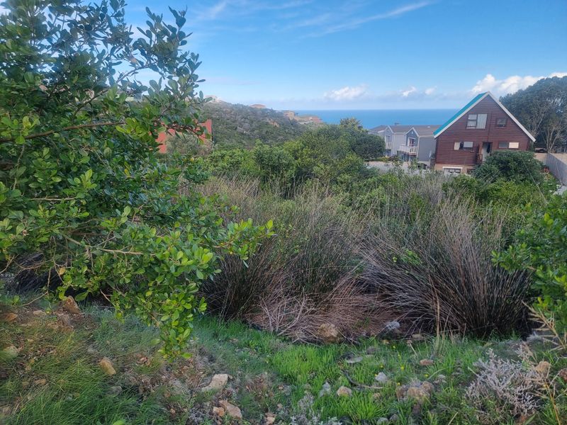 Coastal Investment Gem – Dana Bay (910m2) - Photo 10