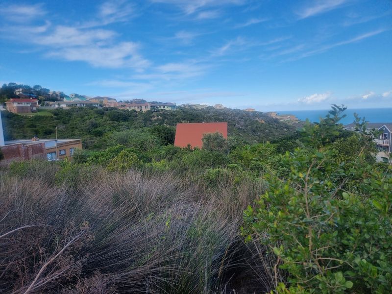 Coastal Investment Gem – Dana Bay (910m2) - Photo 9