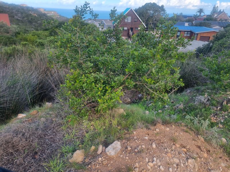 Coastal Investment Gem – Dana Bay (910m2) - Photo 7