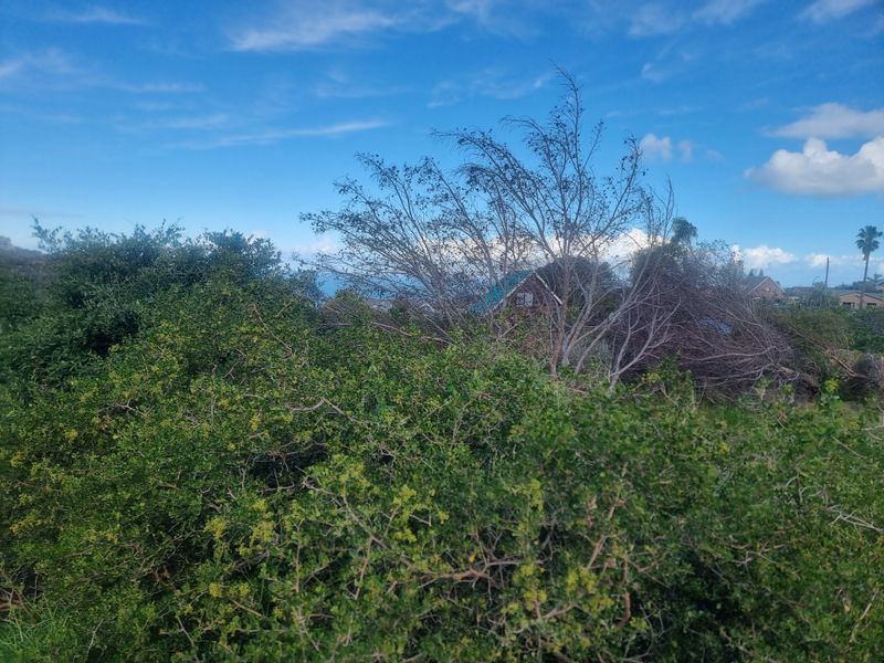 Coastal Investment Gem – Dana Bay (910m2) - Photo 6