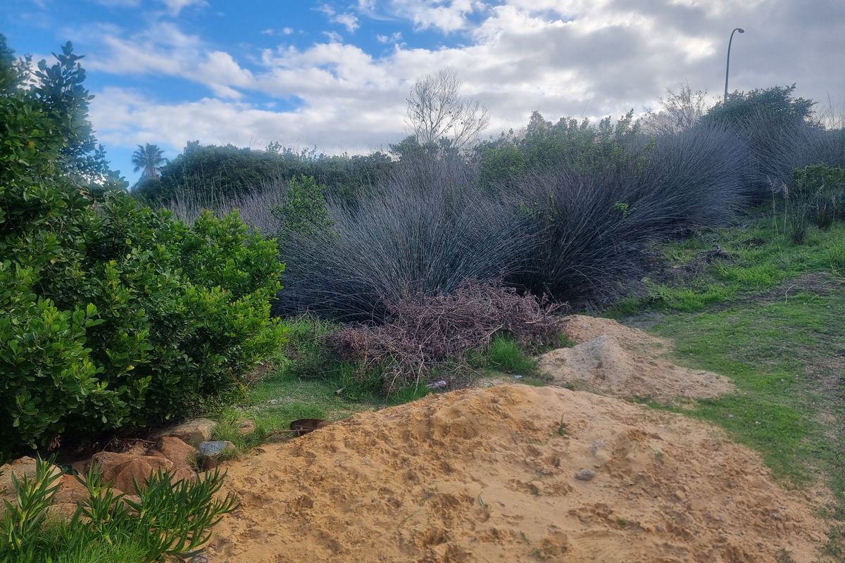 Coastal Investment Gem – Dana Bay (910m2) - Photo 3