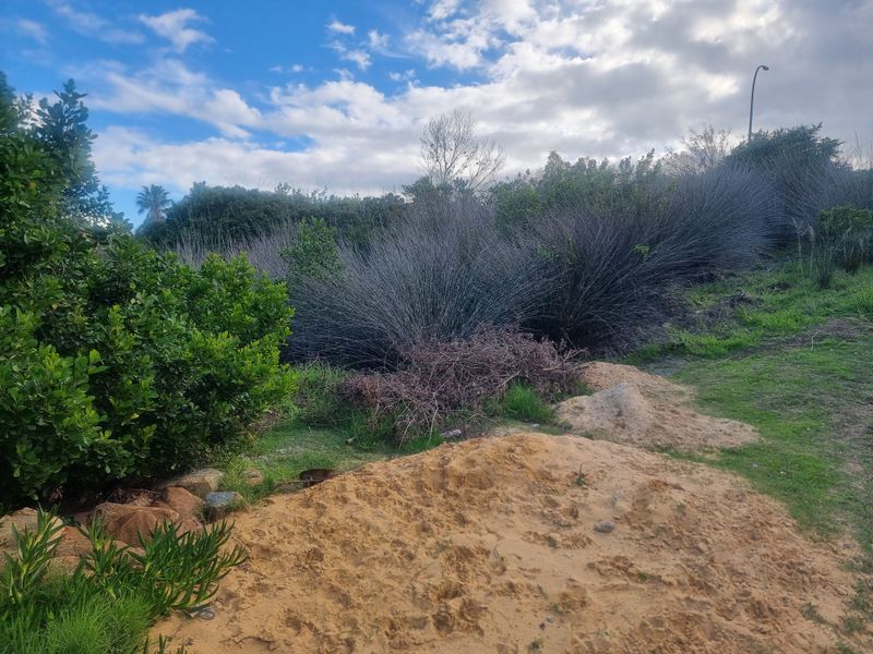 Coastal Investment Gem – Dana Bay (910m2) - Photo 3