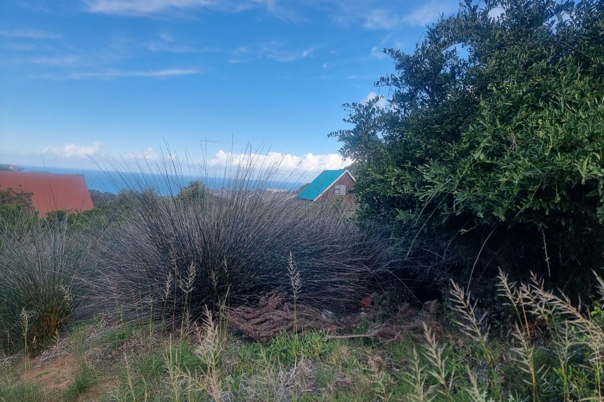Coastal Investment Gem – Dana Bay (910m2) - Photo 5