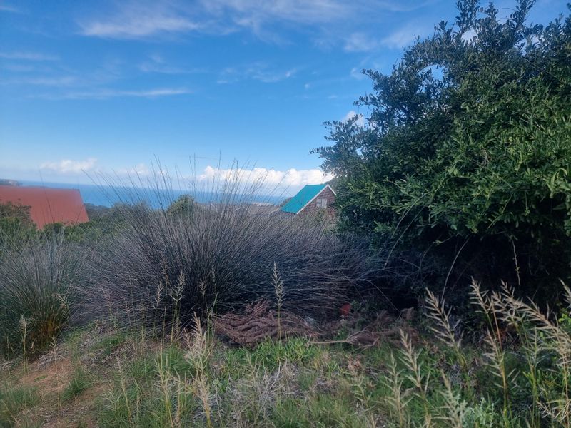 Coastal Investment Gem – Dana Bay (910m2) - Photo 5