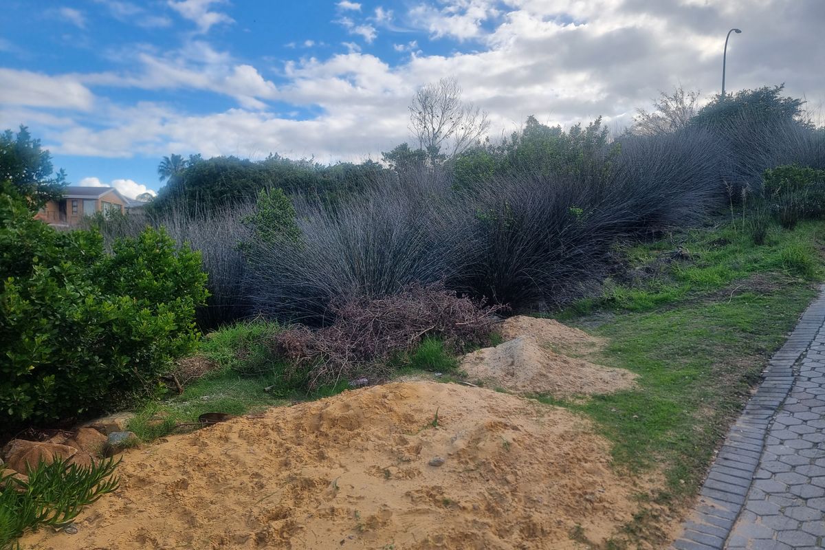 Coastal Investment Gem – Dana Bay (910m2) - Photo 2