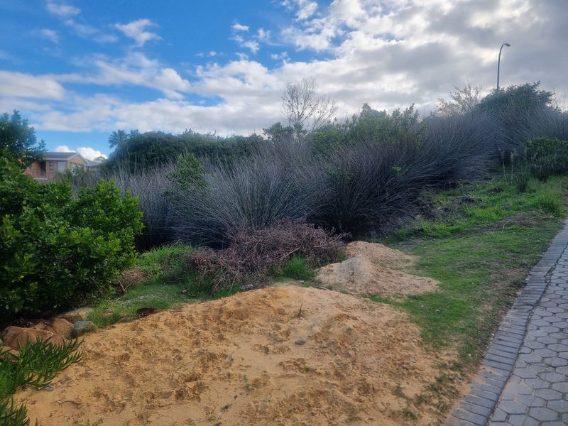 Coastal Investment Gem – Dana Bay (910m2) - Photo 2