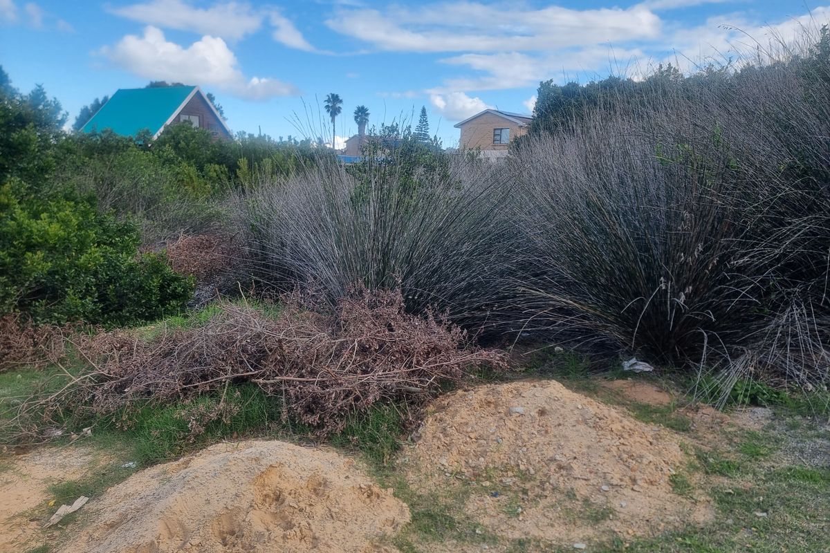 Coastal Investment Gem – Dana Bay (910m2) - Photo 4